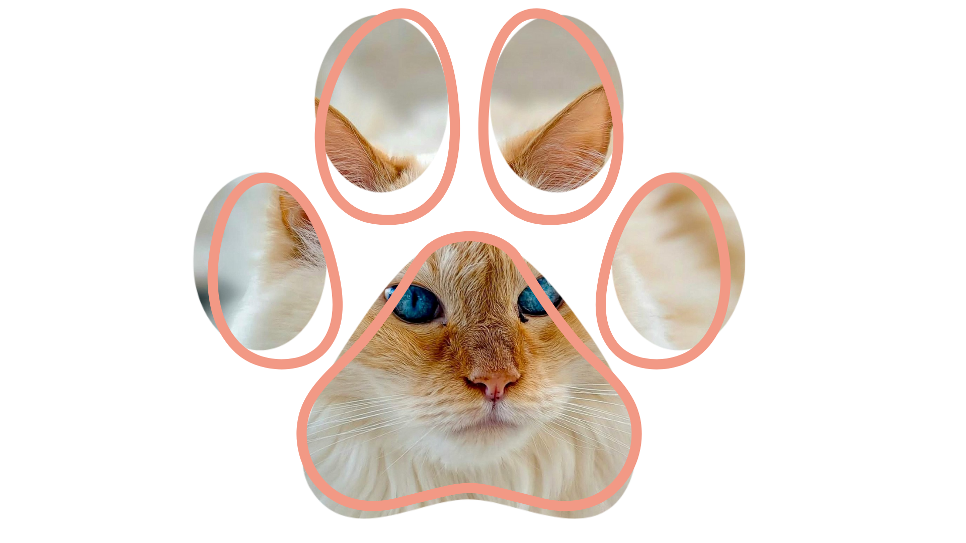 Pet owner consulting with veterinarian at Pet Care & Surgery Center about preventive care near me