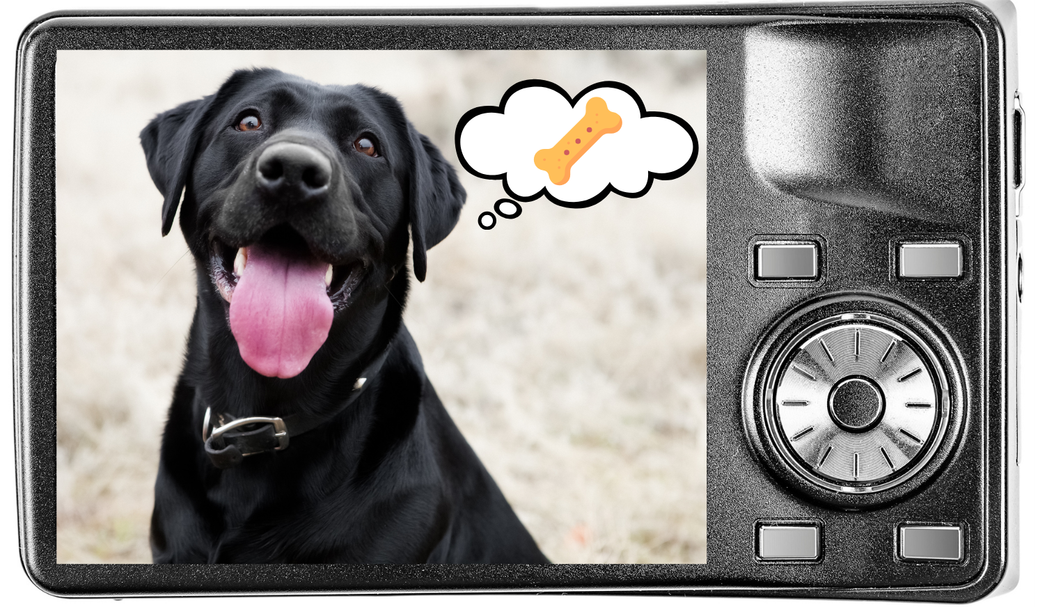 A camera displaying a photo of a dog thinking about a treat