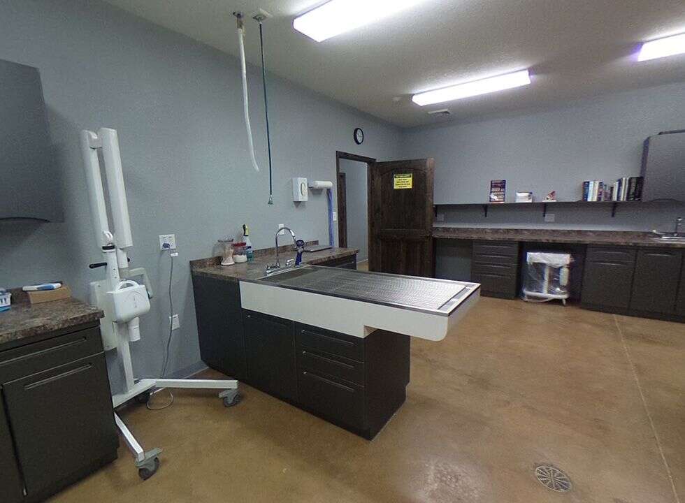 A veterinary examination room with a metal exam table, sink, and cabinets on the walls.
