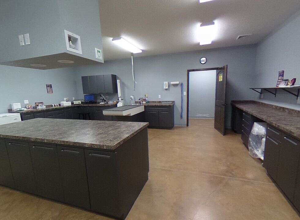 A spacious kitchen with dark cabinets, countertops, and appliances arranged along the walls, featuring a door and wall shelf.