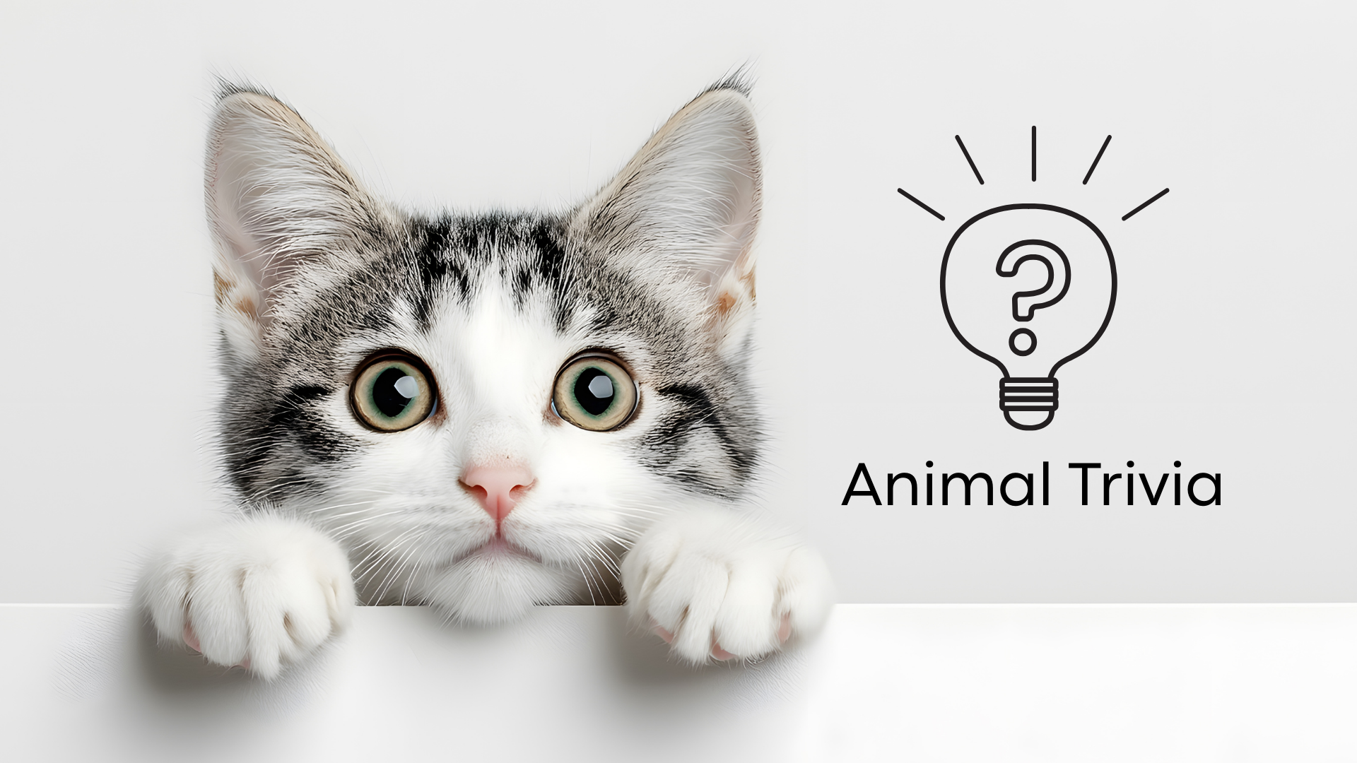 Pet receiving wellness exam at Pet Care & Surgery Center from trusted vet near me