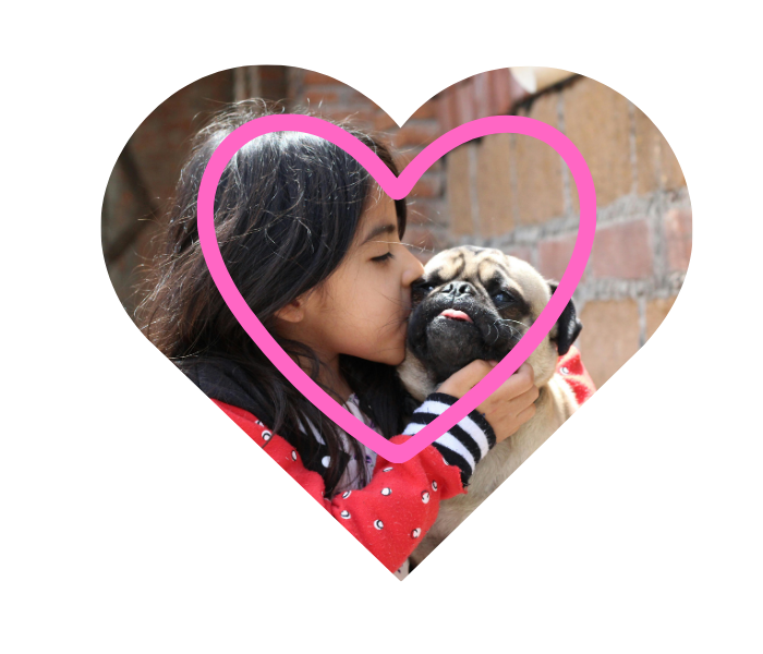 Pet owners bonding with dogs and cats at Pet Care & Surgery Center in Pittsburg KS